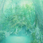 再生　-水の森-